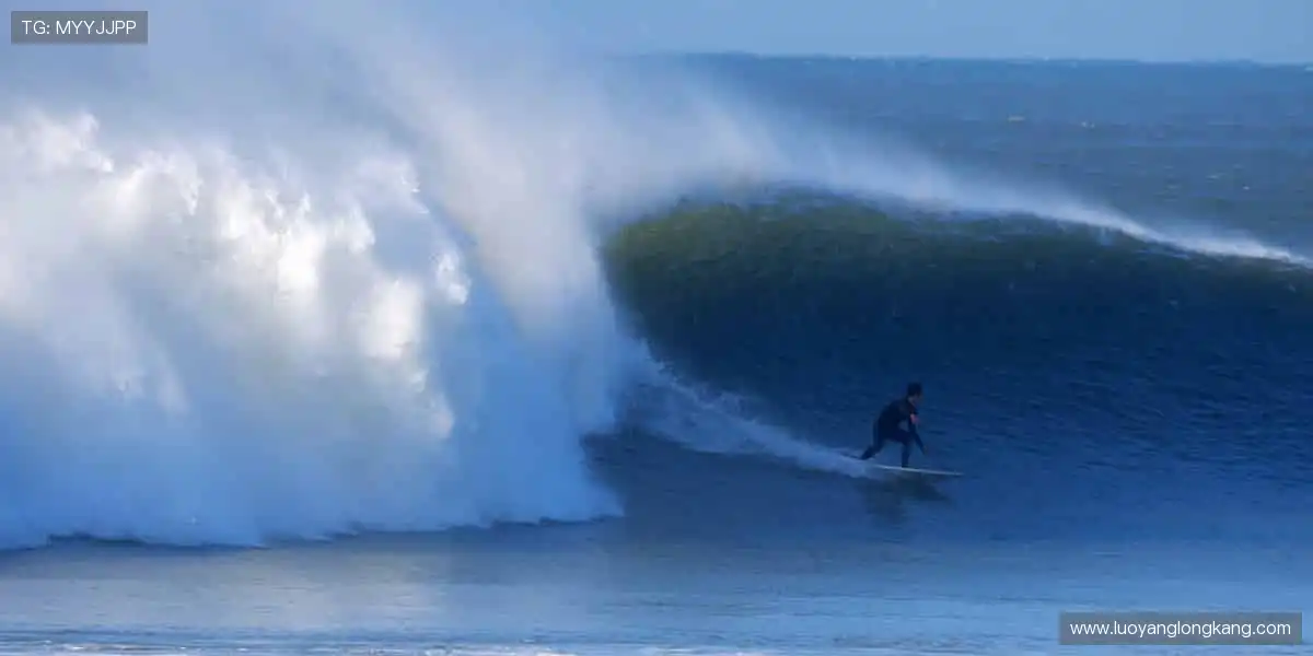 全球赛事，尽在你的指尖掌控🌐✌️